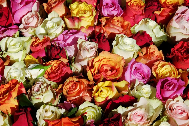 Floral Designers